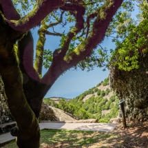 _C3A1411-HDR _C3A1411-HDR