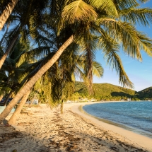 Carlisle Bay