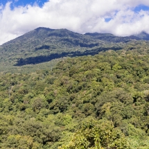 1M0A4717-Panorama 1M0A4717-Panorama