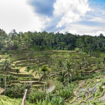 1M0A4761-Panorama 1M0A4761-Panorama