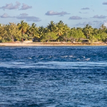 1M0A6836-Panorama 1M0A6836-Panorama