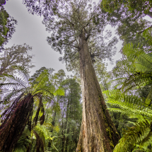 018A5545-HDR