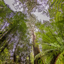018A5557-HDR