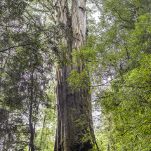 018A5587-HDR-Modifier