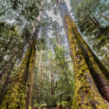 018A5645-HDR