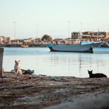 MLS_1614-Edit