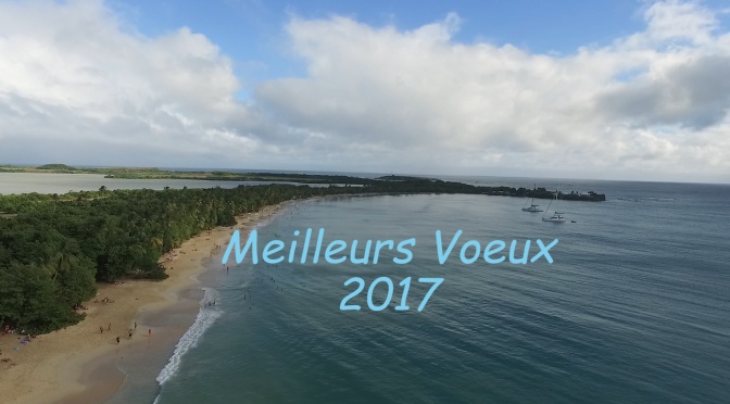 Bonne année 2017