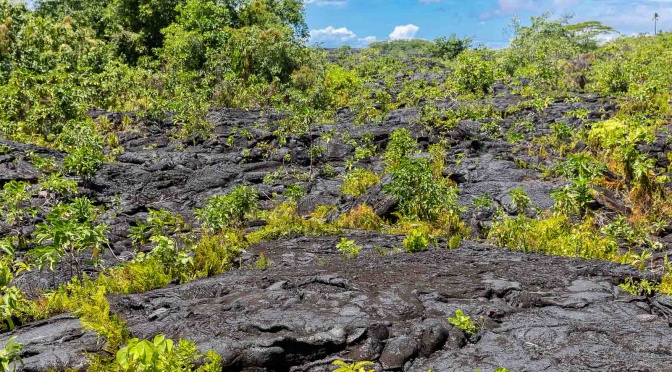 Samoa île Savai&rsquo;i : Traversée Tahiti – Nouvelle-Zélande (7)