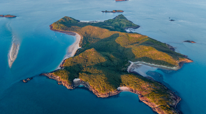 Curlew Island