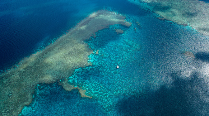 Les Whitsundays (2) : Bugatti et Little Bugatti Reefs
