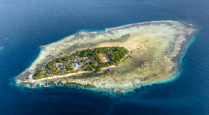 Raja Ampat (2) : Arborek