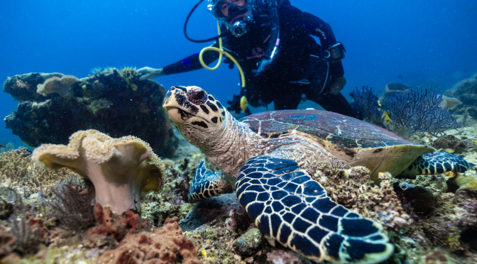 Raja Ampat (4) : Pulau Pef