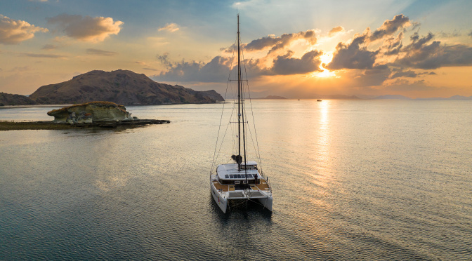 Le dragon  de Komodo…