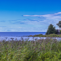 018A0631 018A0631